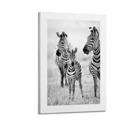 A Black And White Poster of A Baby Zebra with Two Adult Zebras in The Background, Standing in Tall Grass Poster Decorative Painting Canvas Wall Posters And Art Picture Print Modern Family Bedroom Deco