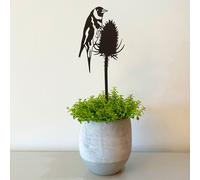 A Blackbird Sang Indoor Pot Stem - Goldfinch