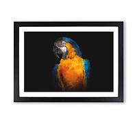 A Blue and Yellow Macaw Parrot Painting Framed Print | A2 Black Framed Wall Art | Ready to Hang | Modern Animal Picture | Living Room Bedroom Lounge Office