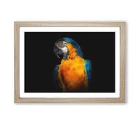 A Blue and Yellow Macaw Parrot Painting Framed Print | A2 Oak Framed Wall Art | Ready to Hang | Modern Animal Picture | Living Room Bedroom Lounge Office