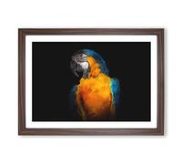 A Blue and Yellow Macaw Parrot Painting Framed Print | A2 Walnut Framed Wall Art | Ready to Hang | Modern Animal Picture | Living Room Bedroom Lounge Office