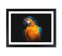 A Blue And Yellow Macaw Parrot Painting Modern Art Framed Print | A3 Black Framed Wall Art | Ready to Hang | Modern Animal Picture | Living Room Bedroom Lounge Office