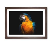 A Blue And Yellow Macaw Parrot Painting Modern Art Framed Print | A4 Walnut Framed Wall Art | Ready to Hang | Modern Animal Picture | Living Room Bedroom Lounge Office