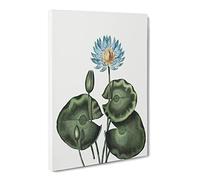 A Blue Egyptian Water Lily By Robert John Thornton Canvas Print | Gallery Wrapped 30mm Frame Wall Art | 30x20 inches | Ready to Hang | Retro Floral Picture | Living Room Bedroom Lounge Office