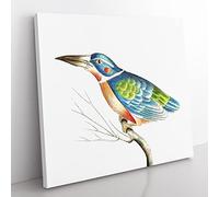 A Blue Kingfisher Bird by George Shaw Vintage Canvas Wall Art Print Ready to Hang, Framed Picture for Living Room Bedroom Home Office Décor, 50x50 cm (20x20 Inch)