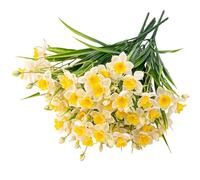 A bouquet of 10 Artificial Daffodils Flowers Fake Daffodil Flower Bouquet,Simulation Narcissus Flowers, Silk Flower Bouquet, DIY Floral Arrangement,Table Centerpieces (White-yellow)