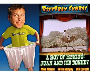 A Boy of Mexico: Juan and His Donkey