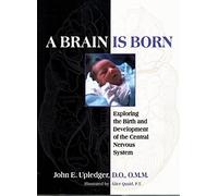A Brain is Born: Exploring the Birth and Development of the Central Nervous System