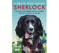 A Brave Dog Named Sherlock