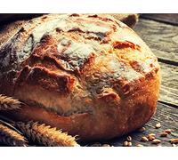 A Brief History of Bread