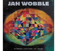 Jah Wobble A Brief History of Now (Vinyl) 12" Album Coloured Vinyl (US IMPORT)