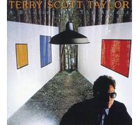 A briefing for the ascent (1987) [VINYL]