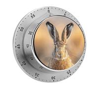 A Brown Hare Mechanical Kitchen Timer Manual 60 Minute Wind Up Timer, Loud Timers for Hard of Hearing, No Batteries Required, Countdown Timers for Cooking Classroom Gym Home