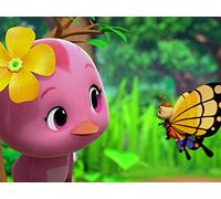 A Butterfly Dream