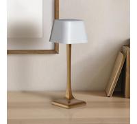 A CA MIA Wireless LED Table Light Lamp, Elegant Design, Rechargeable, Ideal for Living Room, Study, Bedside Table and to Decorate Your Business