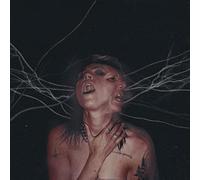 A Call To The Void [VINYL]