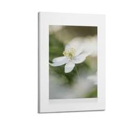 A Canvas Featuring A Delicate White Flower with Yellow Stamen, Centered Against A Soft Green And White Bokeh Background Poster Decorative Painting Canvas Wall Posters And Art Picture Print Modern Fami