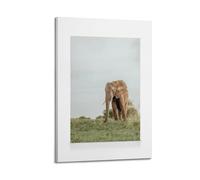 A Canvas Featuring A Majestic Elephant with Large Ears And Tusks, Standing in A Lush Green Grassy Field Poster Decorative Painting Canvas Wall Posters And Art Picture Print Modern Family Bedroom Decor