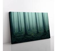 A Captivating Forest Canvas Wall Art Print Ready to Hang, Framed Picture for Living Room Bedroom Home Office Décor, 60x40 cm (24x16 Inch)