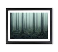 A Captivating Forest Framed Wall Art Print A2 Black