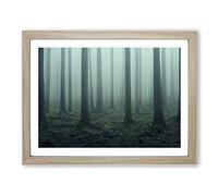 A Captivating Forest Framed Wall Art Print A2 Oak | Ready to Hang, Premium Gi Paper, Fade-Resistant Inks, Securely Packaged, UK Made
