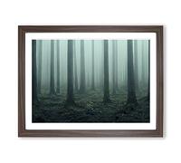 A Captivating Forest Framed Wall Art Print A2 Walnut