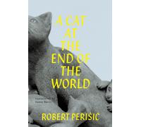 A Cat At the End of the World