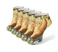 A Cat Hanging in There Men's Ankle Low Socks 5 Pack Non Slip Flat Boat Breathable Athletic Socks for Women
