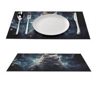 A Cat in A Nebula Placemat, 6 PCS PVC Placemats Washable Non-Slip Place Mats for Dining Table, Wipeable Table Mat for Party Kitchen Dining Decor