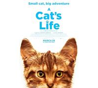 A Cat's Life [DVD]