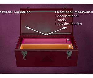 A CBT Toolbox: Toward Wise Living