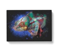 A Chameleon Paint Splash Modern Art Canvas Wall Art Print Ready to Hang, Framed Picture for Living Room Bedroom Home Office Décor, 50x35 cm (20x14 Inch)