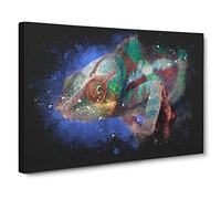 A Chameleon Paint Splash Modern Art Canvas Wall Art Print Ready to Hang, Framed Picture for Living Room Bedroom Home Office Décor, 30x20 Inch (76x50 cm)