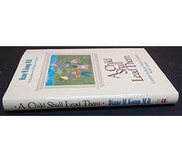 A Child Shall Lead Them – Lessons About Hope from Children With Cancer – Harper Collins Publishers