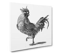 A Cock in Black & White by Johan Teyler Canvas Print | Gallery Wrapped 30mm Frame Wall Art | 14x14 inches | Ready to Hang | Modern Picture | Living Room Bedroom Lounge Office