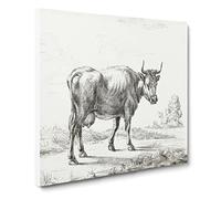 A Cow in the Meadow by Jean Bernard Canvas Print | Gallery Wrapped 30mm Frame Wall Art | 14x14 inches | Ready to Hang | Retro Animals Picture | Living Room Bedroom Lounge Office