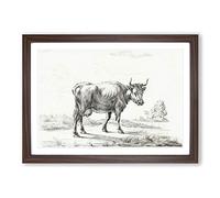 A Cow in The Meadow by Jean Bernard Framed Print | A2 Walnut Framed Wall Art | Ready to Hang | Modern Animal Picture | Living Room Bedroom Lounge Office
