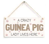 A Crazy Guinea Pig Lady Lives Here - Super Cute Home Accessory Gift Sign
