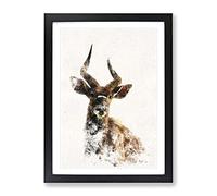 A Curious Antelope Watercolour Modern Framed Wall Art Print, Ready to Hang Picture for Living Room Bedroom Home Office Décor, Black A3 (34 x 46 cm)