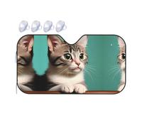 A Curious cat It is a car Windshield Sun Visor, which Does not take up Too Much Space and Protects The Environment Inside The car.