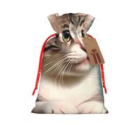 A curious cat Print Drawstring Favor Bags, S Holiday Pouches, Treat Sacks, Christmas Treat Bags