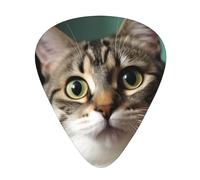 A Curious Cat Printed Guitar Picks 12 Pcs With Organizer Storage Box,Thin,Medium,Heavy Guitar Picks,For Acoustic Guitar Bass