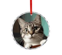 A Curious Cat Round Ornament Hanging Pendant Decor