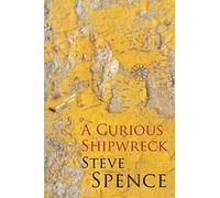 A Curious Shipwreck