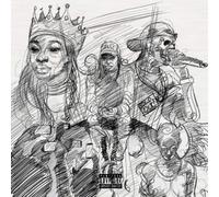 A Curious Tale Of Trials Per - Little Simz VINYL