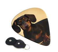 A Cute Dachshund 6 Pack Guitar Picks With Holder, Personalized Guitar Plectrums Non-Slip Portable Ukulele Bass Picks 0.71mm For Acoustic Guitar Lovers Gifts