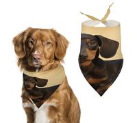 A Cute Dachshund Easter Dog Bandanas for Small Medium Large Dogs,Cat Dogs,Pet Scarf - Polyester Cute Bibs.Triangle Pet Scarf for Puppy Pet,Personalized Birthday/Party Fun Idea Gift