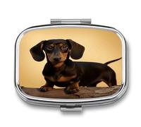 A Cute Dachshund Pill Box 2 Compartment Small Square Pills Case Portable for Pocket Pill Organizer Travel Metal Pill Holder for Office Home Vitamin Medicine Fish Oil
