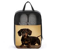 A Cute Dachshund Travel Shoe Bag, Waterproof Storage Pouch with Zipper, Portable Shoe Organizer for Women And Men