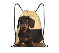 A Cute Dachshund Unisex Drawstring Backpack Foldable String Backpack Durable Drawstring Bag For Swim Football Yoga